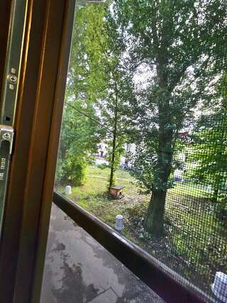 Гостевой дом Старо-Петергофский пр-т, 9А Санкт-Петербург Старо-Петергофский пр-т, 9А-12